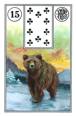 Der Bär — Lenormand-Karte Nummer 15, ein imposanter Bär