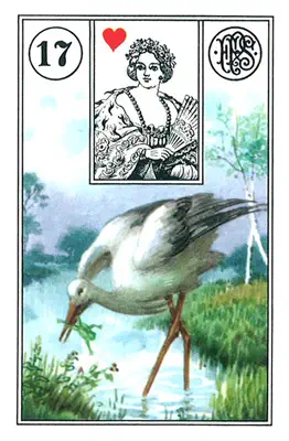 Der Storch — Lenormand-Karte Nummer 17, ein eleganter Storch