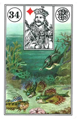 Lenormand-Karte Die Fische — frei schwimmende Fische als Symbol für Fülle