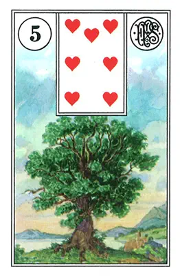 Der Baum — Lenormand-Karte Nummer 5, ein üppiger Baum mit tiefen Wurzeln