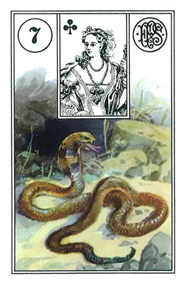 Die Schlange — Lenormand-Karte Nummer 7, eine gewundene Schlange