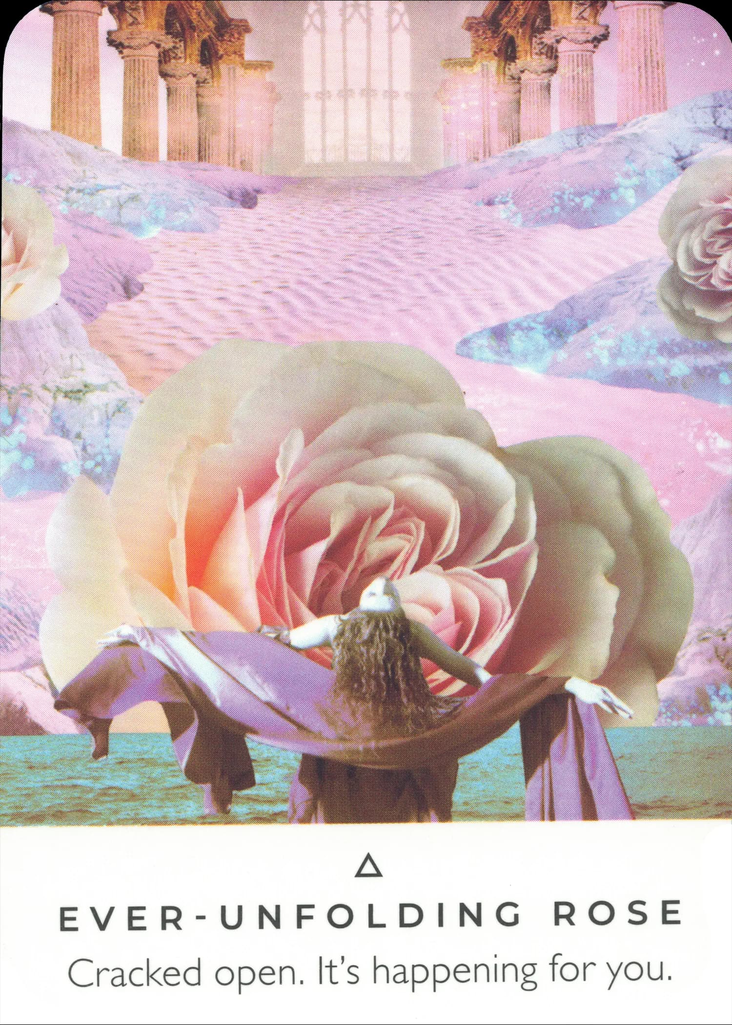 Die Ewige Rose — Work Your Light Oracle, Bestätigung