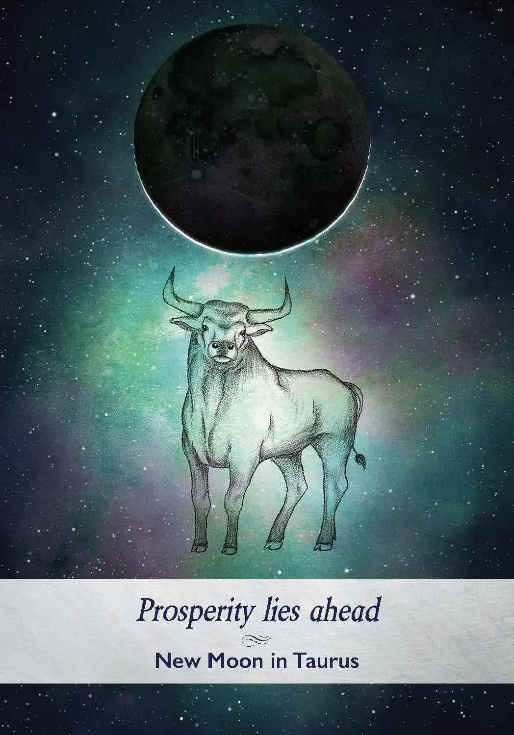 Oracle Moonology — Neumond in Stier